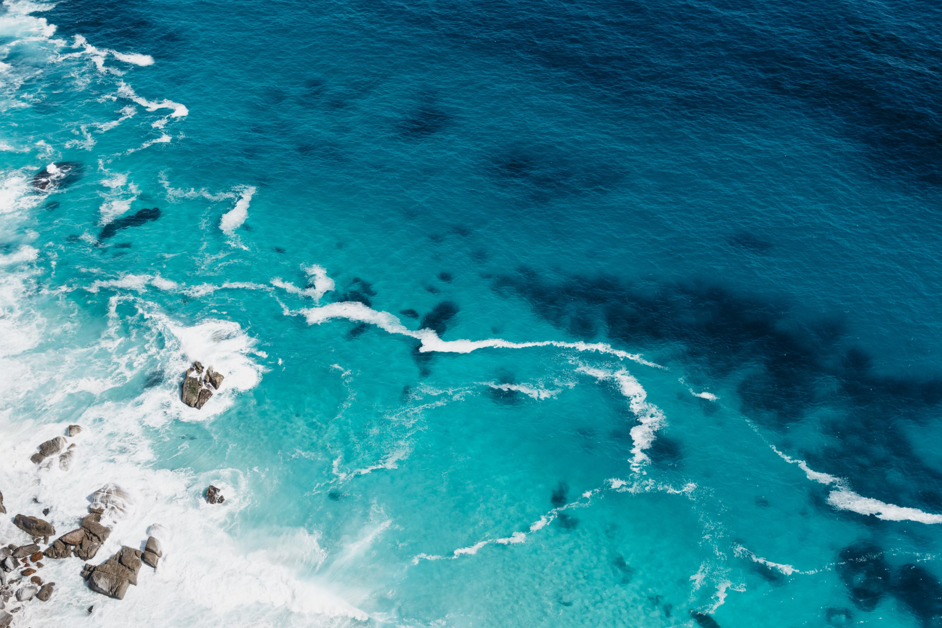 Case Study: Totally Latin America